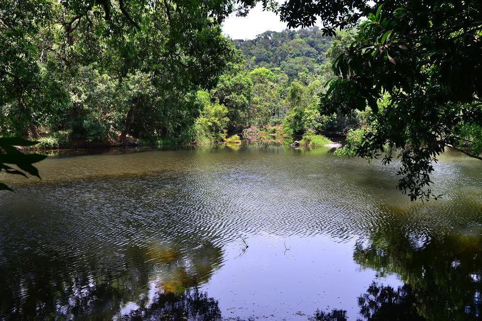 River Near Coorg Jambur Exterior foto